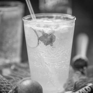 Varjan Mojito