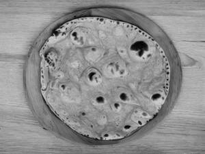 Plain Wheat Roti