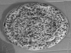 Double Cheese Margherita Pizza