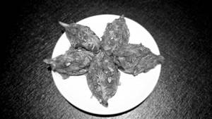 Chicken Pan Fried Momo