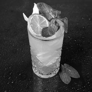 Lemon Mint Mojito