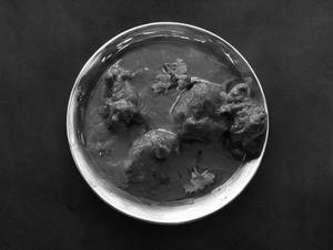 Chicken Handi