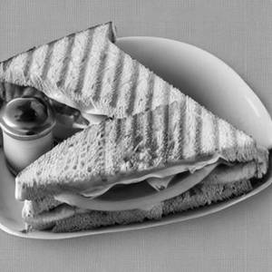 Cheese Grill Sandwich