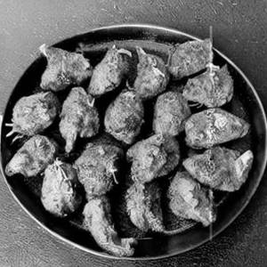 Mutton Fry