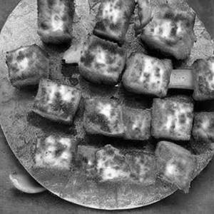 Paneer Crispy