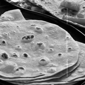 Chapati