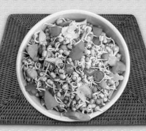 Sprouts Green Salad