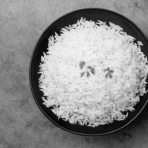 Rice