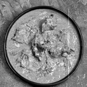 Chicken Shahi Korma Boneless