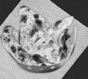 Naan Plain