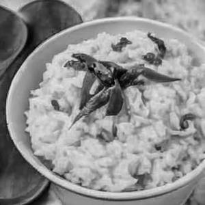Curd Rice