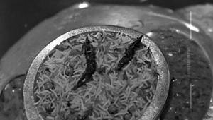Peas Biryani