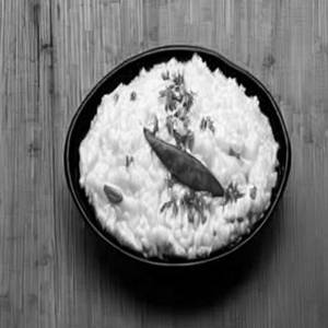 Curd Rice