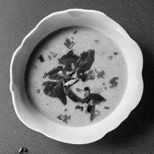 Cream of Palak Soup