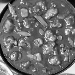 Baby corn Manchurian Gravy