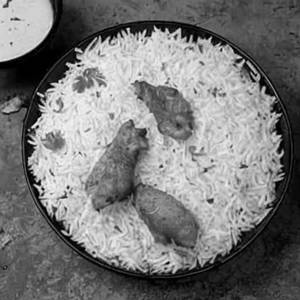 Chicken Schezwan Rice