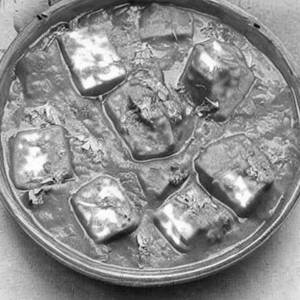 Paneer Masala