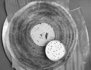 Open Dosa