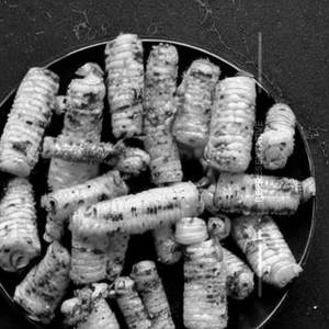 Baby Corn Golden Fry