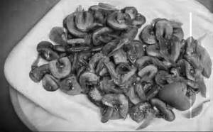 Mushroom Salt N Pepper