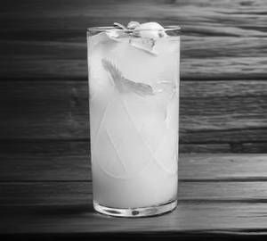 Lychee Mojito