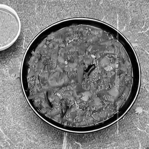Veg Bhuna