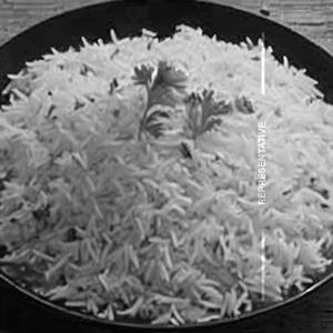 Rice