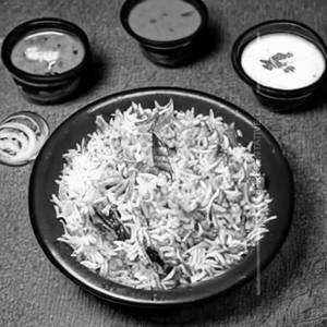 Veg Biriyani                                                   