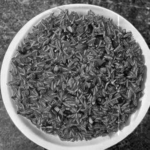 Rice Plate