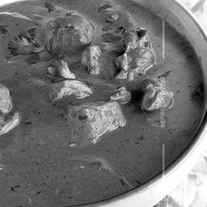 Cilantro Chicken Gravy