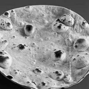 Roti