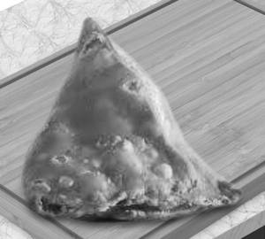 Samosa