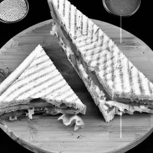Veg Cheese Sandwich  