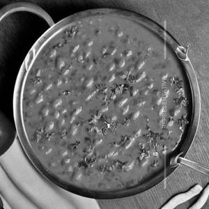 Dal Fry
