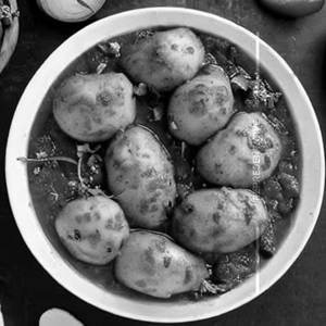 Dum Aloo Punjabi