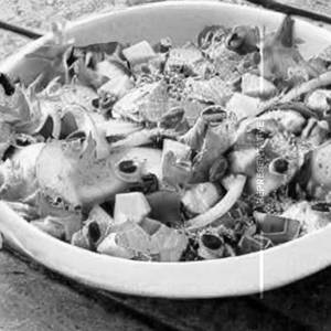 Green Salad