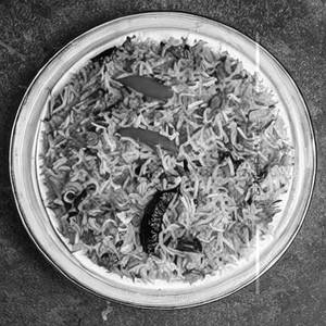 Veg Biriyani
