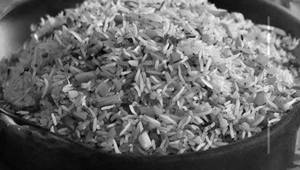 Burn Garlic Veg Fried Rice
