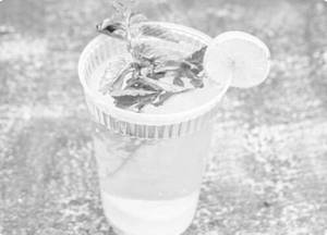 Mojito