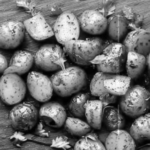 Honey Chilly Potato