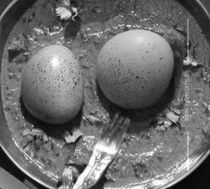 Tukhm E Murgh Masala (Egg Curry)