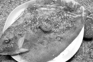 Pomfret Patrani Fish
