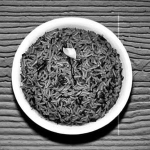 Palak Rice