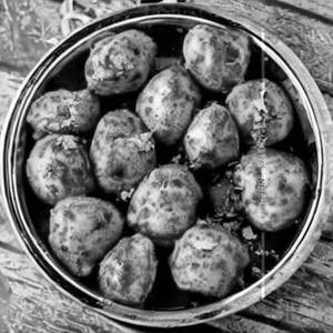 Dum Aloo Kashmiri