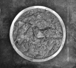 Bhaji