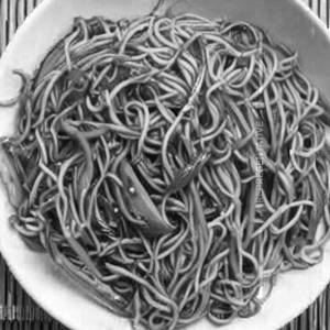 Veg Japanese Noodles