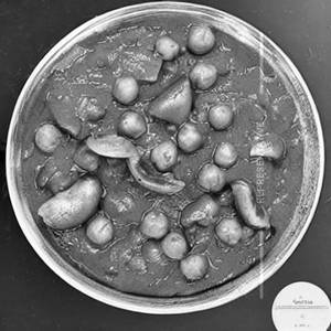 Green Peas Mushroom