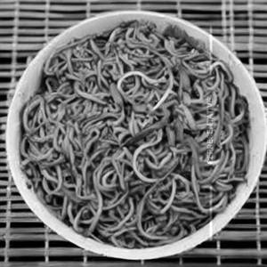 Peaking Noodles