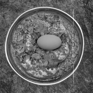 Egg Masala
