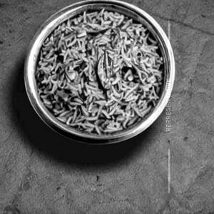 Palak Rice
